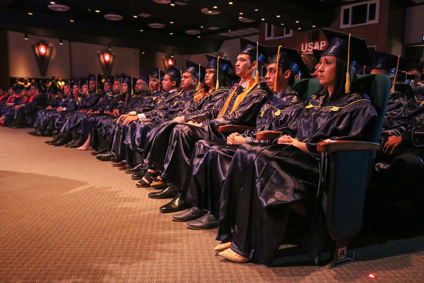 Prepárate para ser un profesional independiente o emprendedor incluso si te gradúas de la universidad