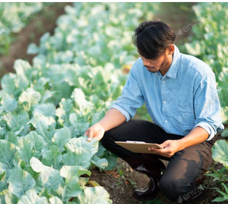 Ingeniería Agronómica